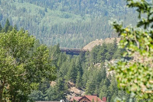 203 9th Street Georgetown, CO 80444