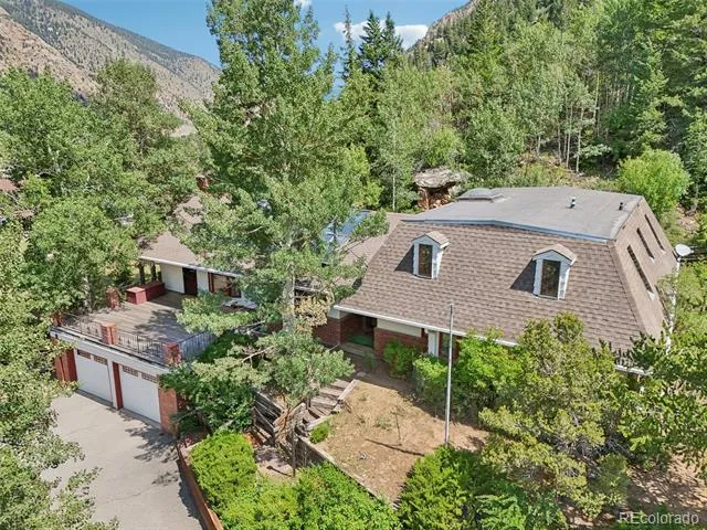 203 9th Street Georgetown, CO 80444