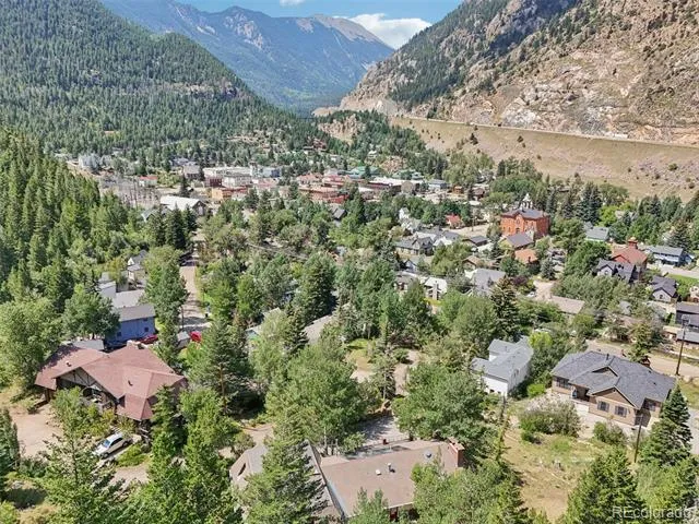 203 9th Street Georgetown, CO 80444
