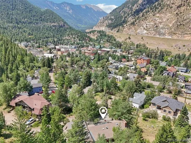 203 9th Street Georgetown, CO 80444