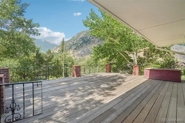 203 9th Street Georgetown, CO 80444