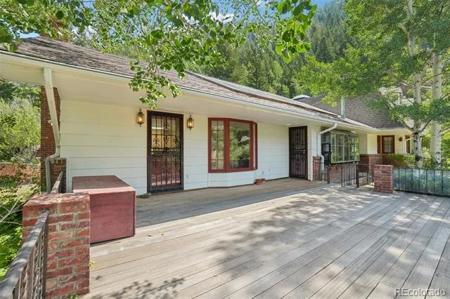 203 9th Street Georgetown, CO 80444