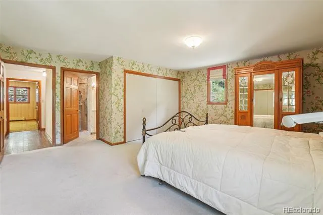 203 9th Street Georgetown, CO 80444