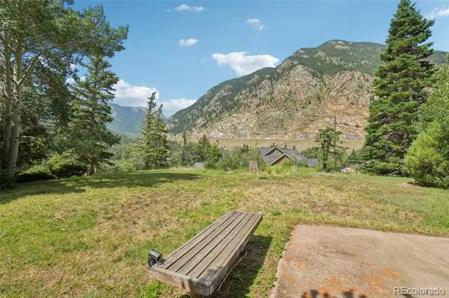 203 9th Street Georgetown, CO 80444