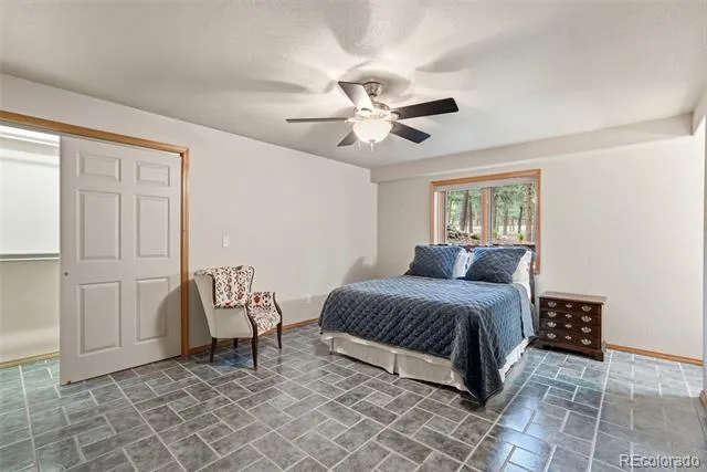 3925 Wavy Oak Drive Colorado Springs, CO 80908