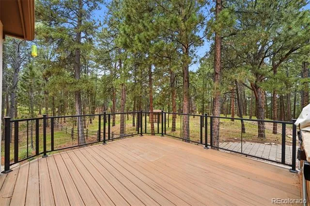 3925 Wavy Oak Drive Colorado Springs, CO 80908