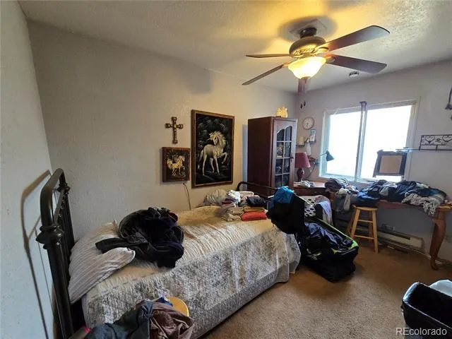 855 Will Stutley Drive Divide, CO 80814