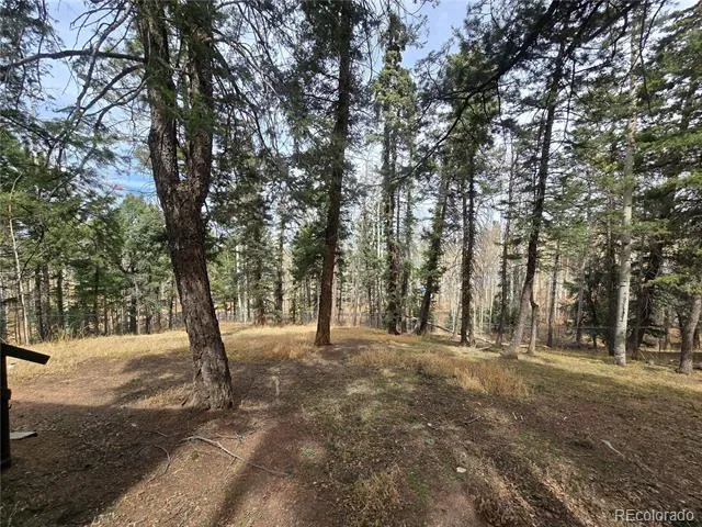855 Will Stutley Drive Divide, CO 80814
