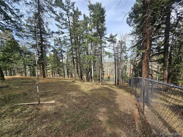 855 Will Stutley Drive Divide, CO 80814