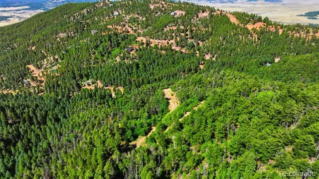 13464 S Firedog Way Larkspur, CO 80118