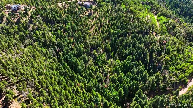 13464 S Firedog Way Larkspur, CO 80118