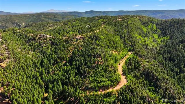 13464 S Firedog Way Larkspur, CO 80118