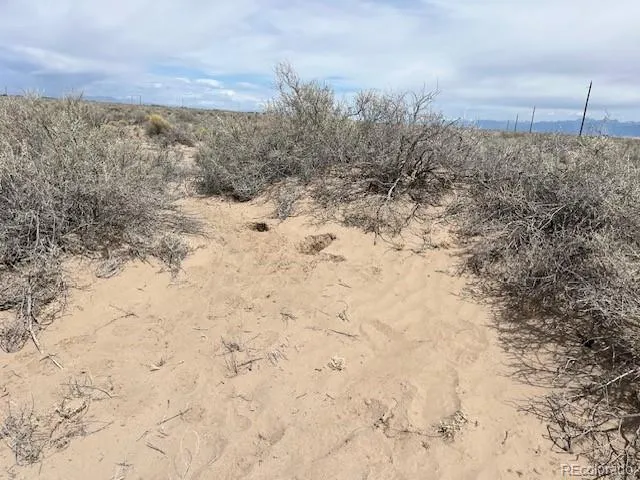 TBD 35 Acres Alamosa, CO 81101