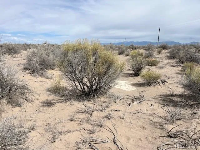 TBD 35 Acres Alamosa, CO 81101