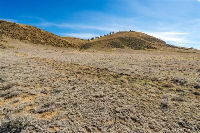 00 Willow Street Hartsel, CO 80449