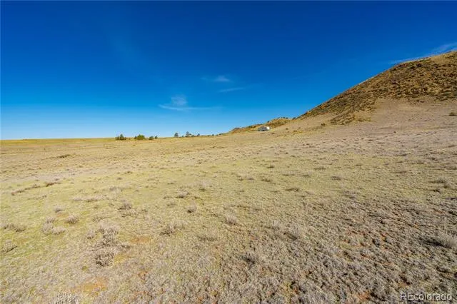 00 Willow Street Hartsel, CO 80449