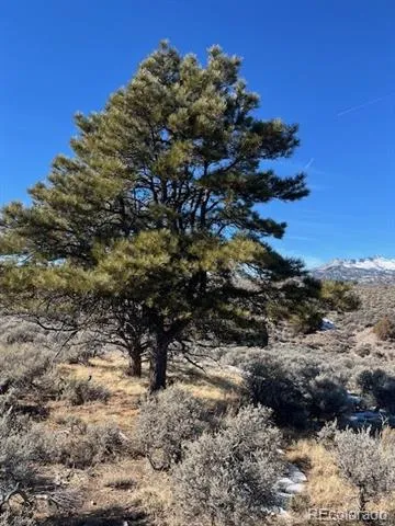 Lot 4875 Durante Road Fort Garland, CO 81133