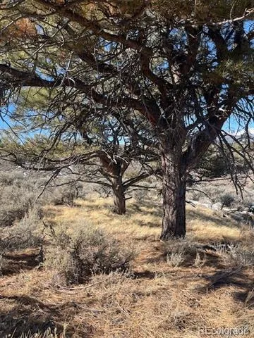 Lot 4875 Durante Road Fort Garland, CO 81133