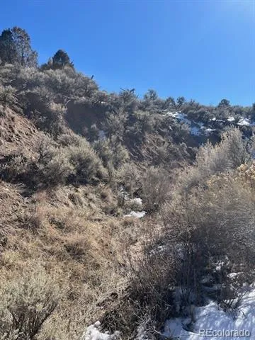 Lot 4875 Durante Road Fort Garland, CO 81133