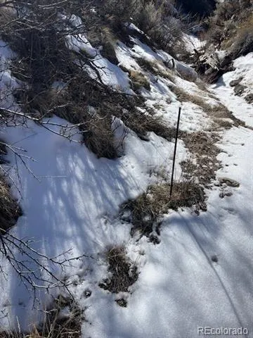 Lot 4875 Durante Road Fort Garland, CO 81133