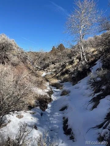 Lot 4875 Durante Road Fort Garland, CO 81133