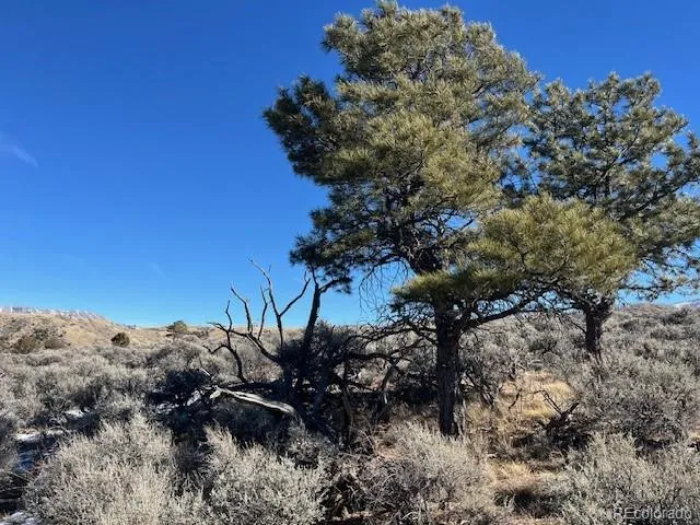 Lot 4875 Durante Road Fort Garland, CO 81133