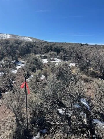 Lot 4875 Durante Road Fort Garland, CO 81133