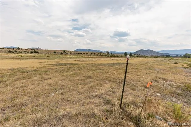 24265 River Rock Lane Buena Vista, CO 81211