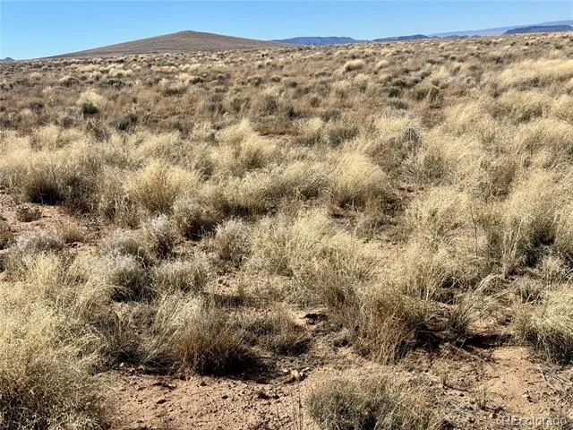 lot 1 29th Street Blanca, CO 81123