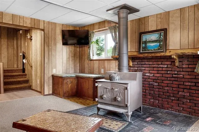 215 S Valley Drive Lake George, CO 80827