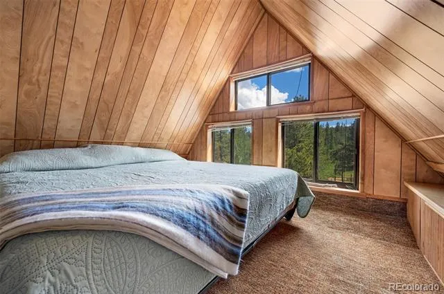 215 S Valley Drive Lake George, CO 80827
