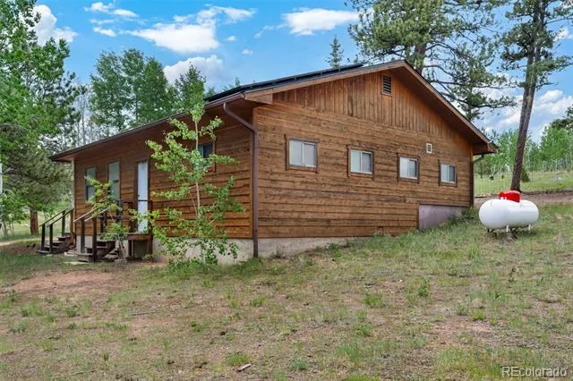 215 S Valley Drive Lake George, CO 80827