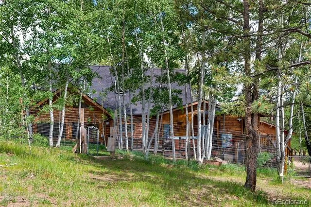 215 S Valley Drive Lake George, CO 80827