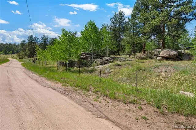 215 S Valley Drive Lake George, CO 80827