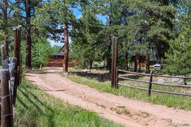 215 S Valley Drive Lake George, CO 80827
