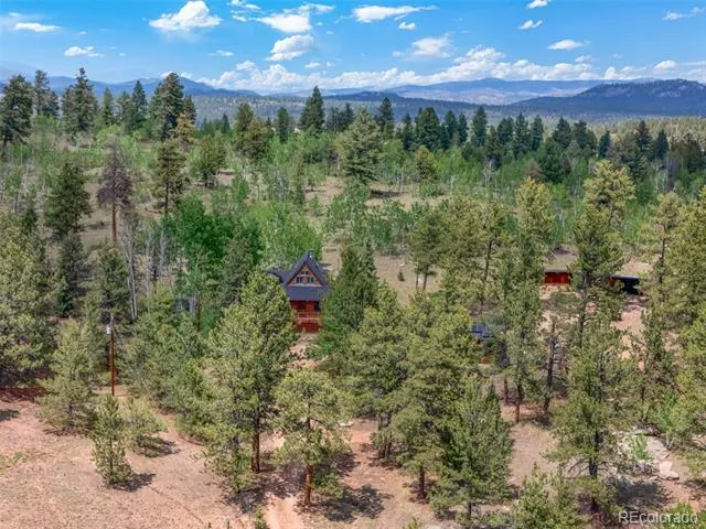 215 S Valley Drive Lake George, CO 80827