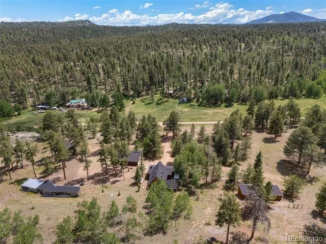 215 S Valley Drive Lake George, CO 80827