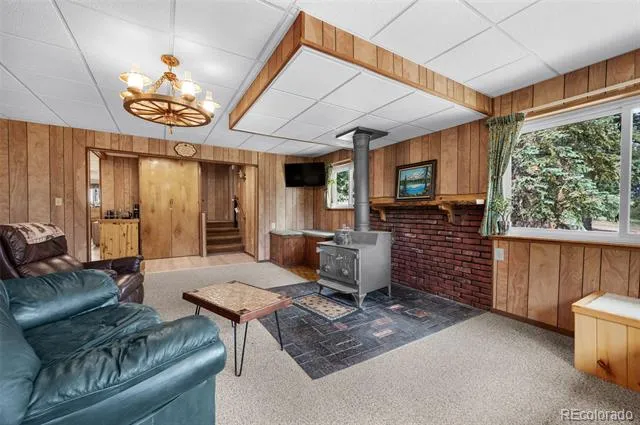 215 S Valley Drive Lake George, CO 80827
