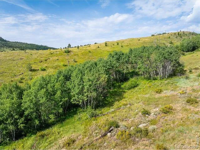 730 Lost Angel Road Boulder, CO 80302