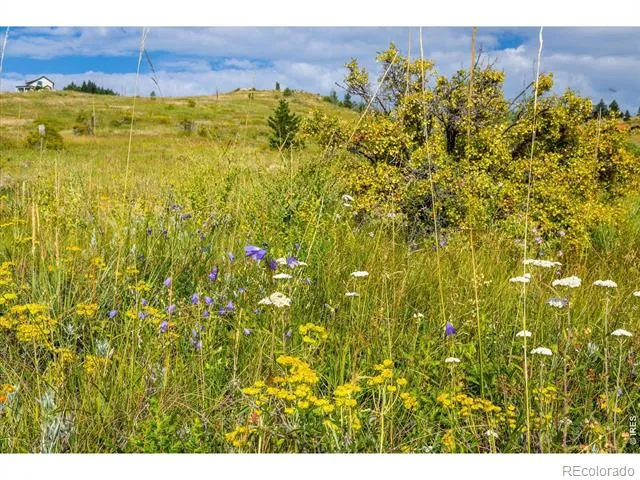 730 Lost Angel Road Boulder, CO 80302
