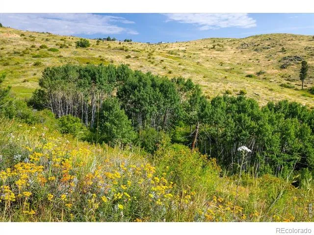 730 Lost Angel Road Boulder, CO 80302