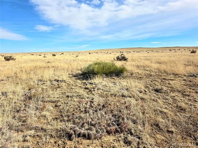 TBD County Road 103 Walsenburg, CO 81089