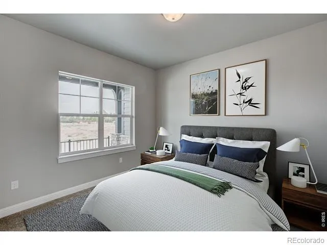 8452 Cromwell Drive #2 Windsor, CO 80528