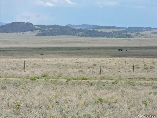 173 Routt Road Hartsel, CO 80449