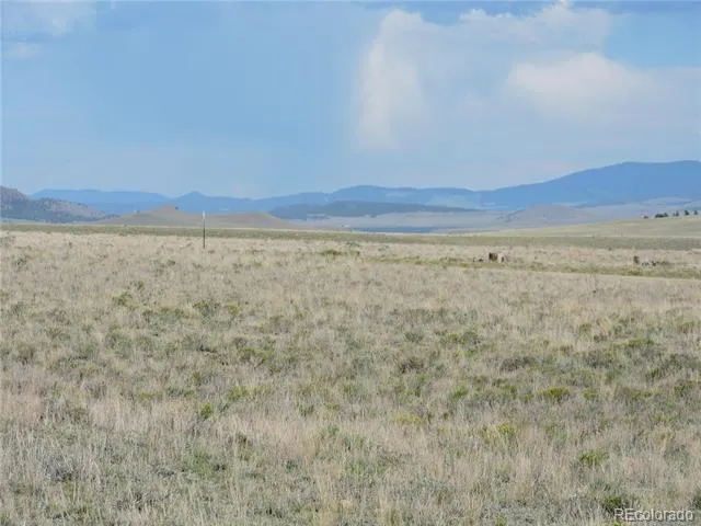 173 Routt Road Hartsel, CO 80449