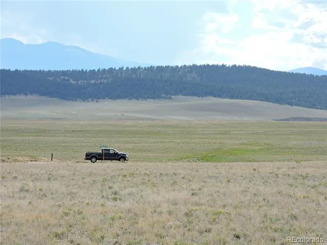 173 Routt Road Hartsel, CO 80449