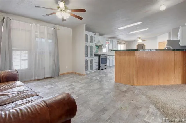 129 Cedar Lane Cotopaxi, CO 81223