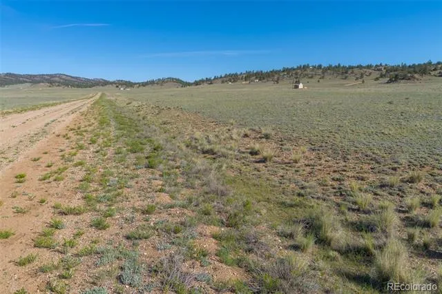 793 Margaret Place Hartsel, CO 80449