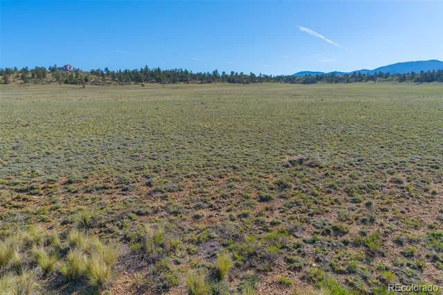793 Margaret Place Hartsel, CO 80449