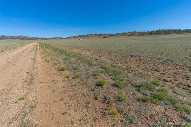 793 Margaret Place Hartsel, CO 80449